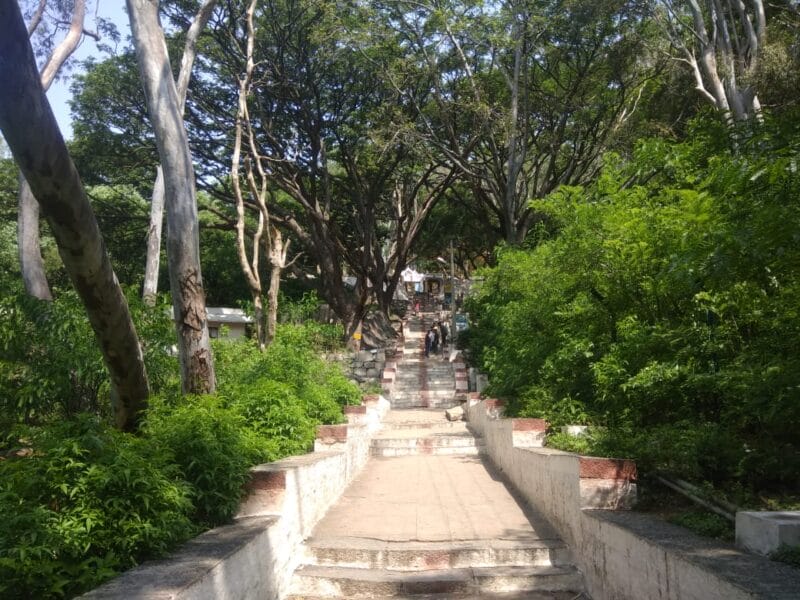 A local or a traveler! bangalores.best is a handy guide for everyone 2 guide A local or a traveler! bangalores.best is a handy guide for everyone